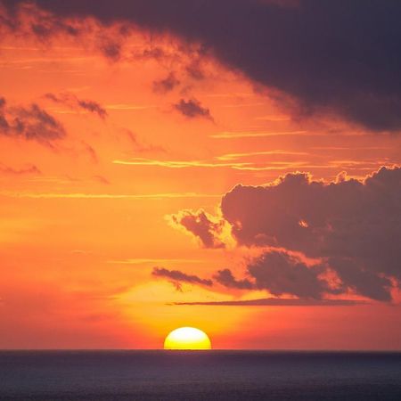 Pachamama Tropical Garden Lodge Malpais Dış mekan fotoğraf