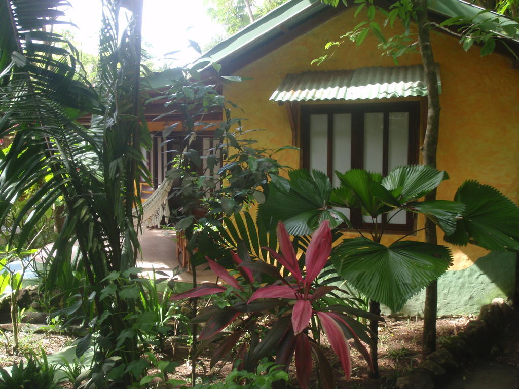 Pachamama Tropical Garden Lodge Malpais Oda fotoğraf