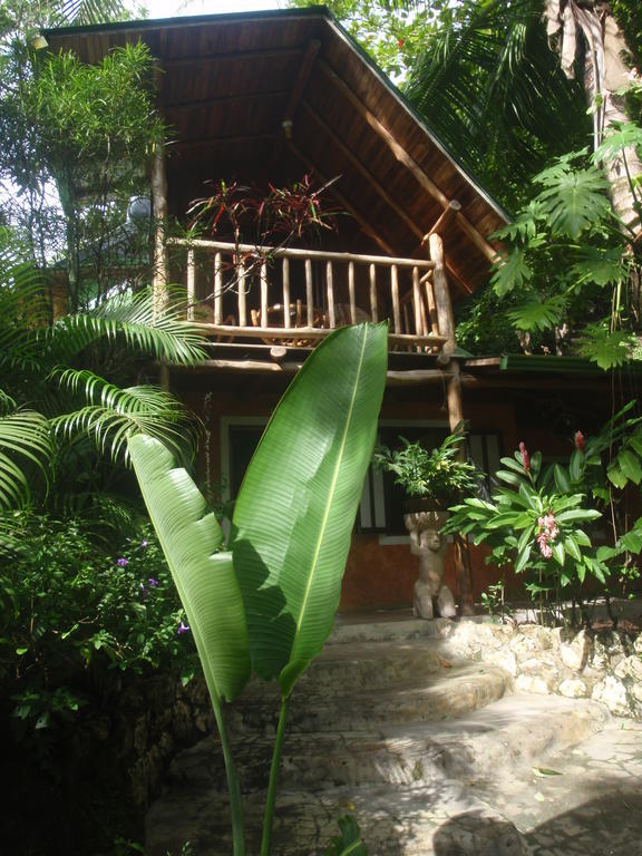 Pachamama Tropical Garden Lodge Malpais Oda fotoğraf