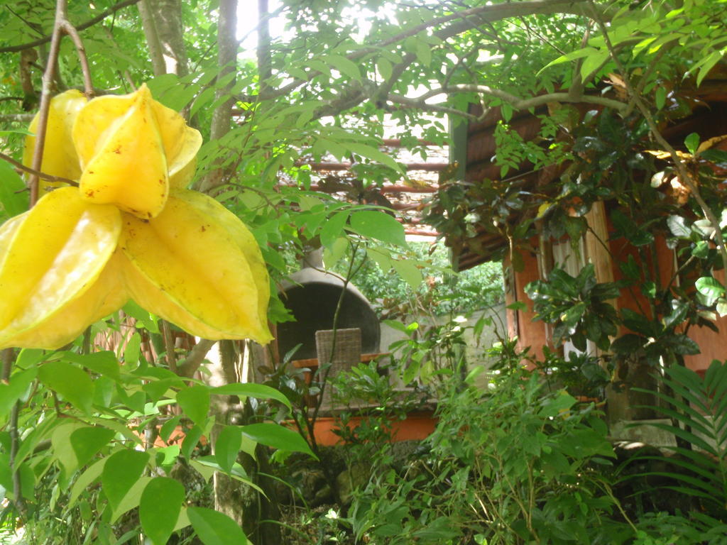 Pachamama Tropical Garden Lodge Malpais Dış mekan fotoğraf