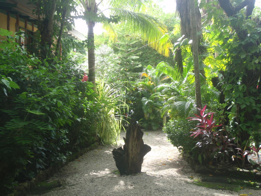 Pachamama Tropical Garden Lodge Malpais Dış mekan fotoğraf