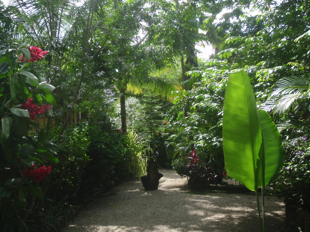 Pachamama Tropical Garden Lodge Malpais Dış mekan fotoğraf