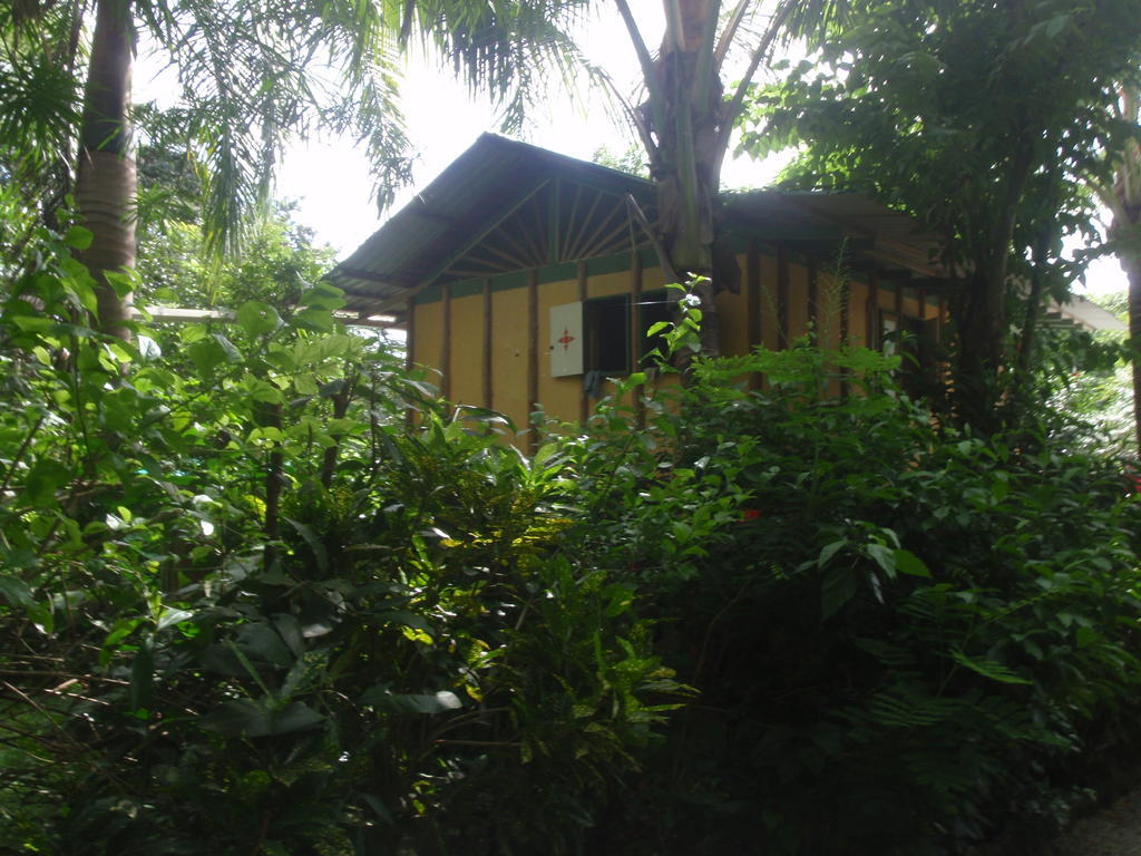 Pachamama Tropical Garden Lodge Malpais Oda fotoğraf