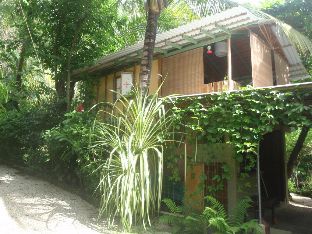 Pachamama Tropical Garden Lodge Malpais Oda fotoğraf