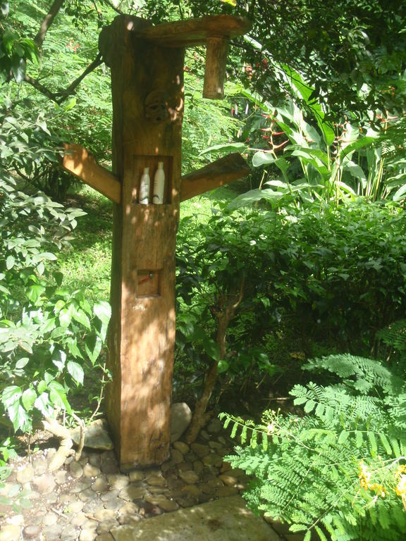 Pachamama Tropical Garden Lodge Malpais Oda fotoğraf