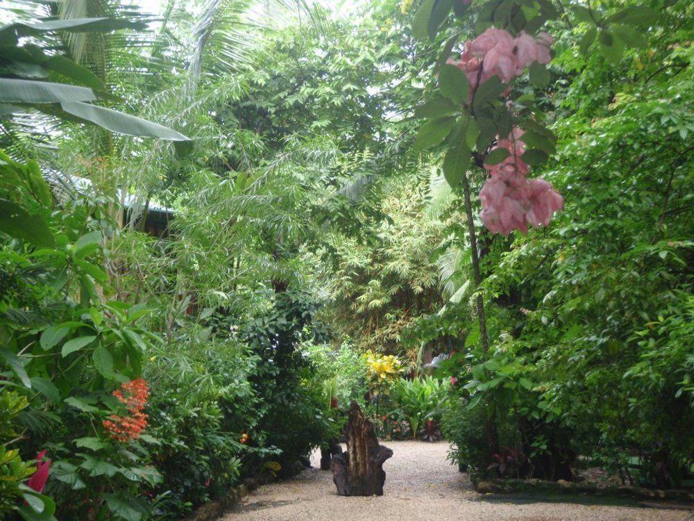 Pachamama Tropical Garden Lodge Malpais Dış mekan fotoğraf